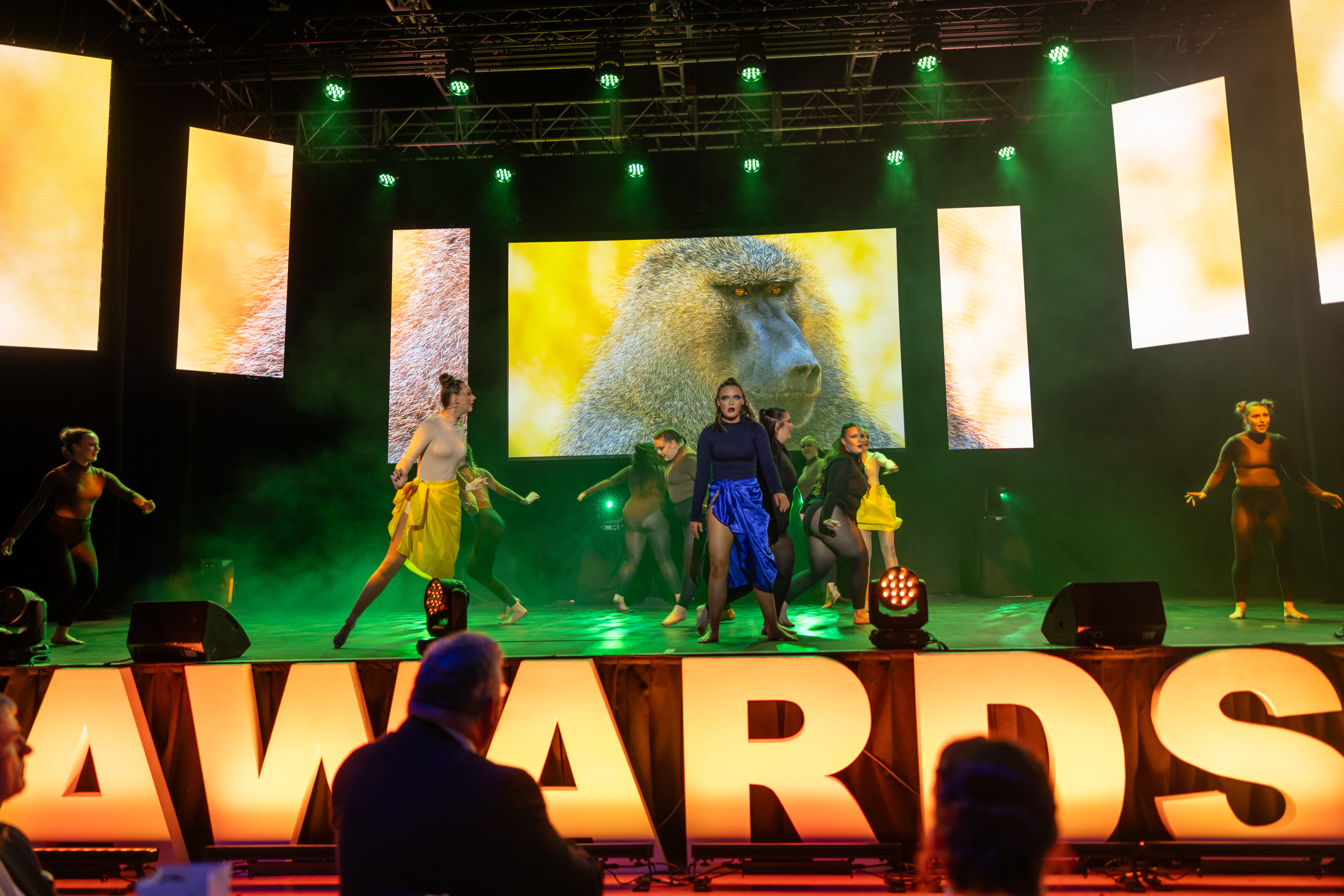 Illuminated AWARDS letters at an event, photo 2